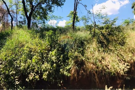 Terreno - Venta - Mariano Roque Alonso, Central, Paraguay