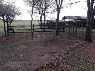 Venta De Estancia/ganadera En San Pedro Del Paraná, Itapúa.