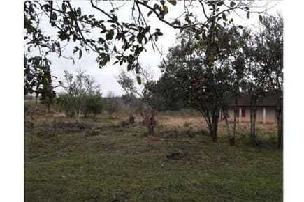 VENDO AMPLIO TERRENO EN CIUDAD DEL ESTE