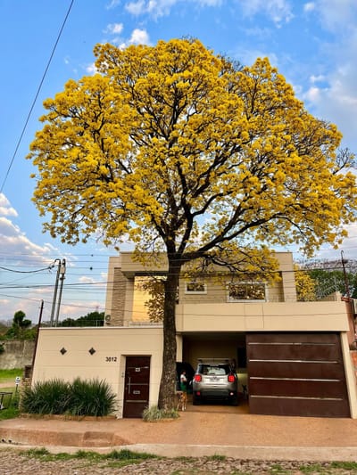 Vendo Casa En Lambare 