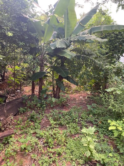 Vendo Chalet A Reciclar En Mburucuya