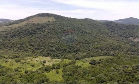 Vendo 52 Hectáreas en las serranías del Yvyturuzu-Colonia Independencia