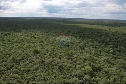 Vendo Terreno de 14.086 Hectáreas en Bahía Negra 