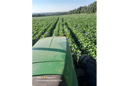 Vento Campo de 87 has en San Juan Nepomuceno