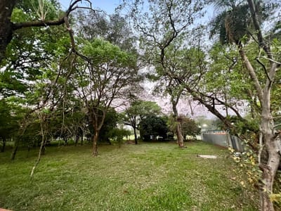 3. REMATO TERRENO DE 1.513 M2 ZONA CONMEBOL