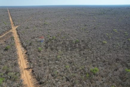 Estancia/Campo-Venta-PY Alto Paraguay Bahia Negra