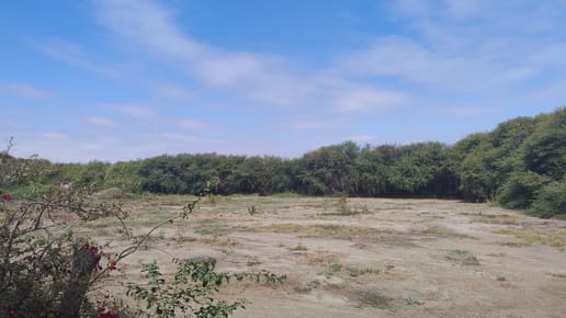 TERRENO EN VENTA INCLUYE CON CASA EN EL INTERIOR EN NUEVO CATACAOS 