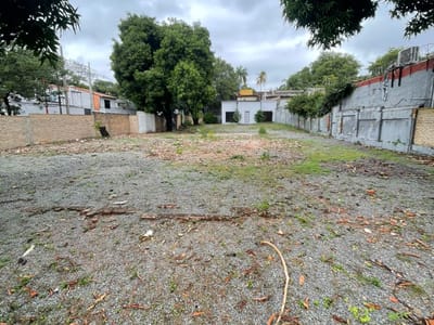 ALQUILO TERRENO SOBRE AVENIDA ESPAÑA