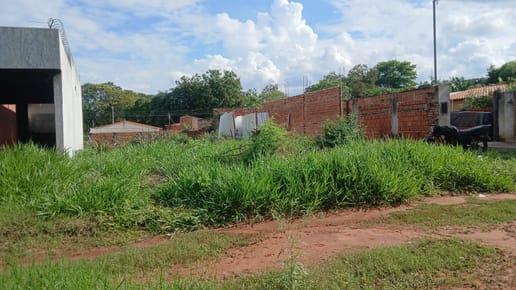 Terreno