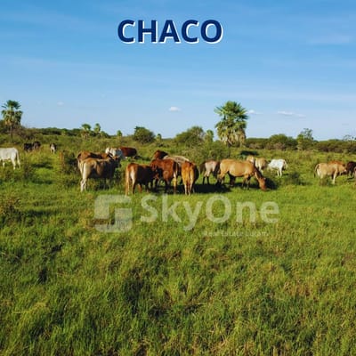 VENDO PROPIEDAD EN EL CHACO Dpto. de Alto Paraguay, zona Tte. Martínez