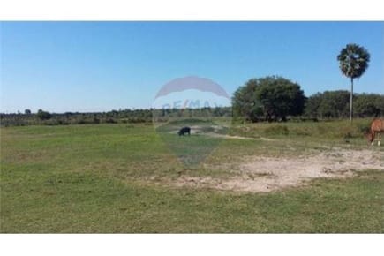 Vendo Campo de 1,796 Hectáreas en toro pampa chaco a 500 USD la hectárea 