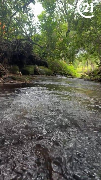 venta terreno Ytu Pora -Piribebuy