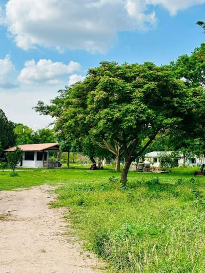 Quinta Motacusal en Venta con tres casas independientes