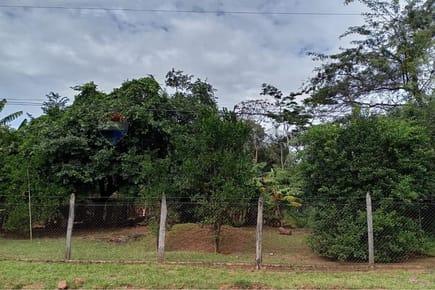 Terreno - Venta - Itauguá, Central, Paraguay