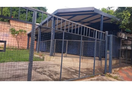 Local Comercial-Alquiler-Las Palmas, Mariscal López, Lambaré