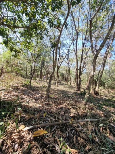 VENDO TERRENO EN SAN BERNARDINO ZONA ANFITEATRO