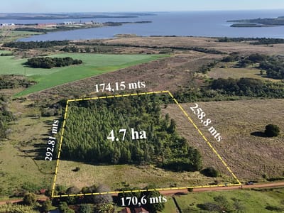 4,7 ha en San Juan del Parana - Apto para loteo, casa quinta o inversion.