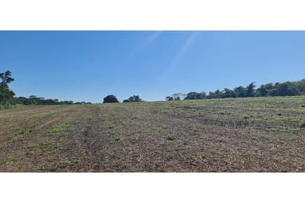 Terreno-Venta-000 000, si, Itacurubí del Rosario, San Pedro