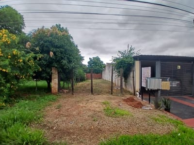 Terreno