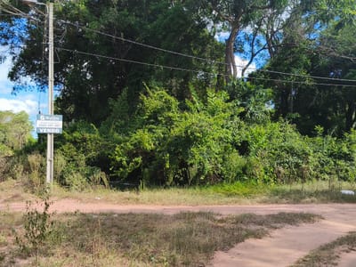 VENDO TERRENO ESQUINA 1200 M² EN CRISTÓBAL COLÓN, SAN BERNARDINO