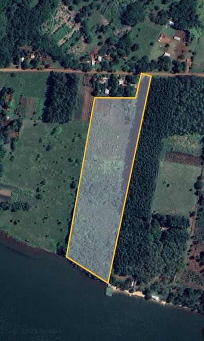 Terreno en Hectareas.