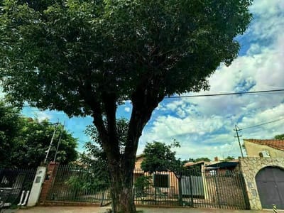 VENDO CASA SOBRE CALLE ASFALTADA EN EL BARRIO MBURUCUYA
