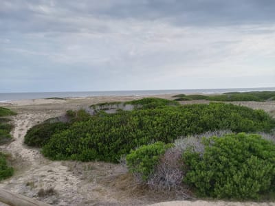 Terreno En Punta Rubia Con Potencial Vista Al Mar - Zona Santa Isabel
