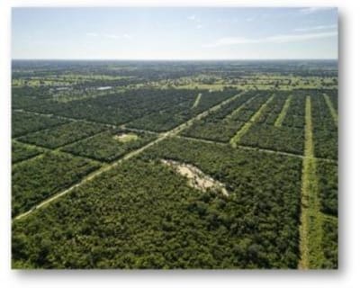 Terreno para industria liviana de 23.645 m² en Cruce Esmeralda, Filadelfia