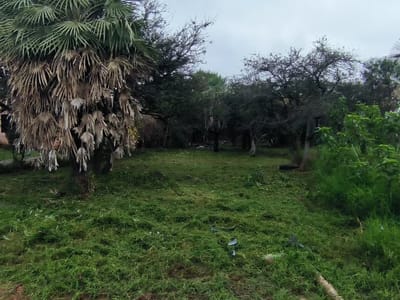 VENDO TERRENO EN SANTA LUCÍA, LIMPIO