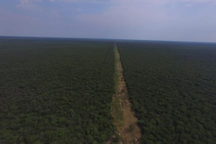 Propiedad Rural Ideal para Invertir en Paraguay