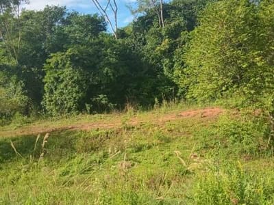 VENTA DE TERRENO EN CORONEL OVIEDO