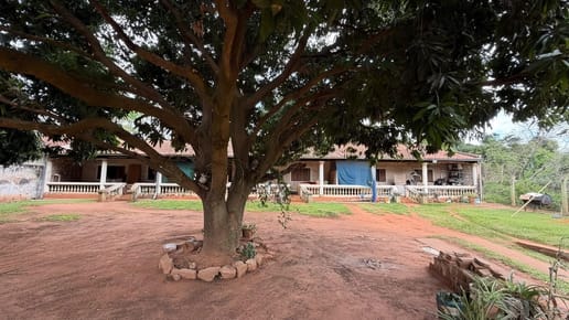 Propiedad con tres viviendas independientes en Capiatá