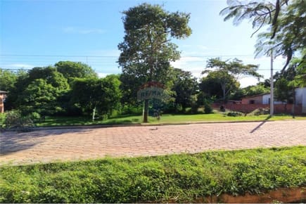 Terreno en Venta Bella Vista Amambay Paraguay