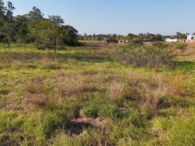 VENDO TERRENO DE 2606 M2 EN SURUBI-Y MARIANO ROQUE ALONSO