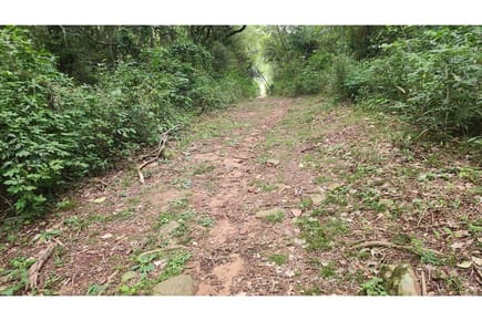 Terreno-Venta-Mbocajaty, Ypacaraí, Central