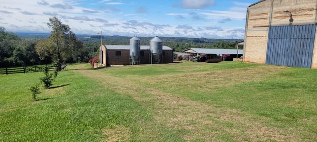 Venta Campo Agroindustrial 50 Ha sobre Ruta PY02 - Coronel Oviedo