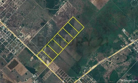 Venta de Estancia/Ganadera en José Falcón