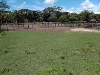 Inmueble # 751 PROPIEDAD EN TRINIDAD
