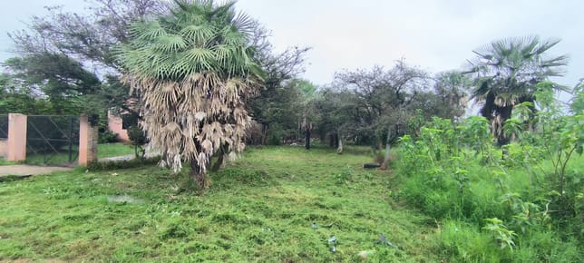 Oferta! Vendo Terreno En Santa Lucía, Limpio
