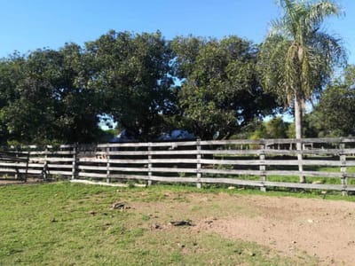 Oferta!! Vendo Estancia En Caapucú - Departamento De Paraguarí !!!.