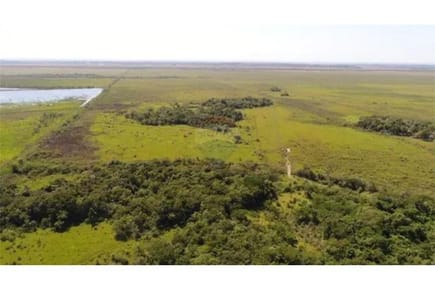 En venta campo de 300 hectáreas en Cordillera