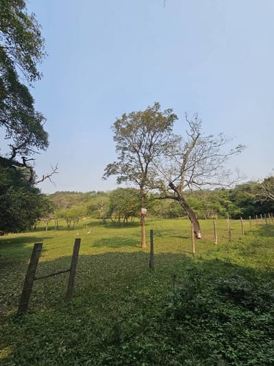 VENDO PROPIEDAD EN ALTOS A 600 MTS DE RUTA