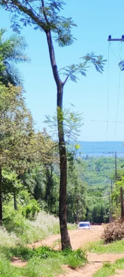 En venta terreno de 2 hectáreas en san Bernardino 