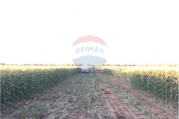 ESTANCIA FILADELFIA CHACO PYO Ref U7329E infocasas .py