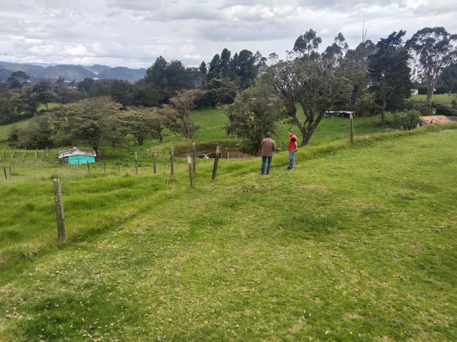 Finca en venta en El rosal - Miniatura 16