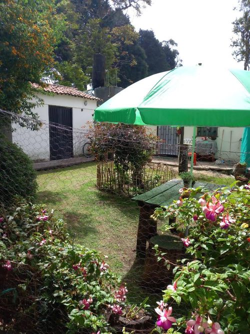 Finca en venta en El rosal - Miniatura 23