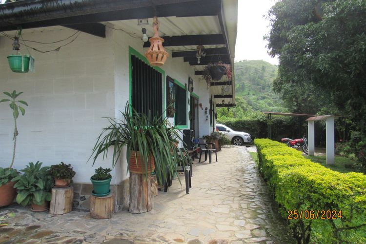 Finca en  Venta en La vega - Miniatura 6