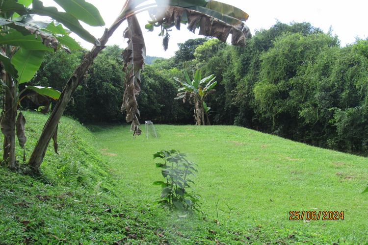 Finca en  Venta en La vega - Miniatura 14
