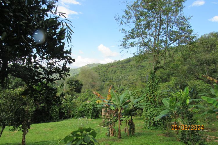 Finca en  Venta en La vega - Miniatura 16