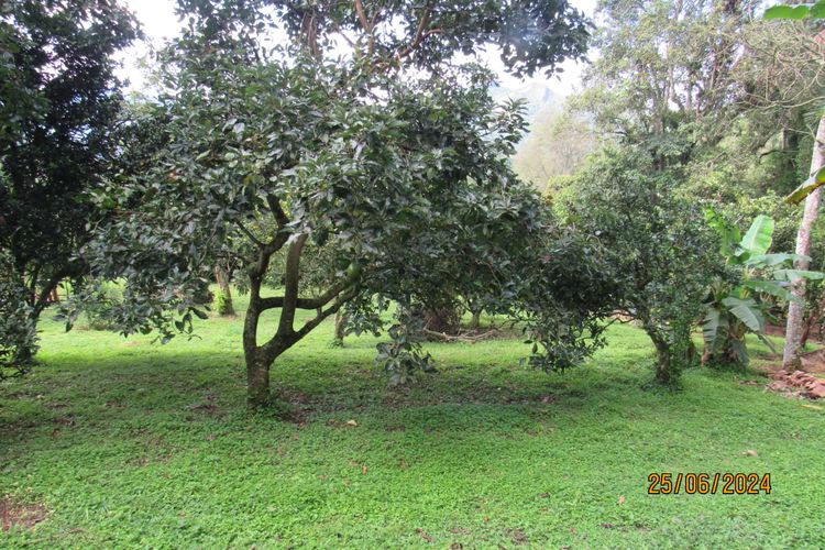 Finca en  Venta en La vega - Miniatura 19